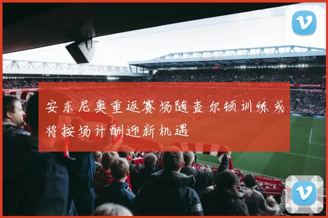 安东尼奥重返赛场随查尔顿训练或将按场计酬迎新机遇