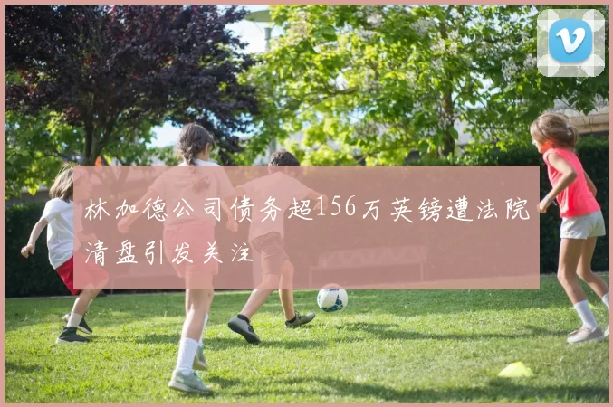 林加德公司债务超156万英镑遭法院清盘引发关注