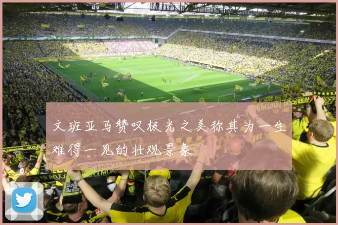 文班亚马赞叹极光之美称其为一生难得一见的壮观景象